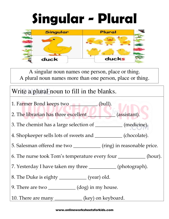 Worksheet for identifying irregular plural nouns for second graders