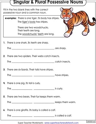 Second grade worksheet for practicing singular possessive nouns with apostrophes