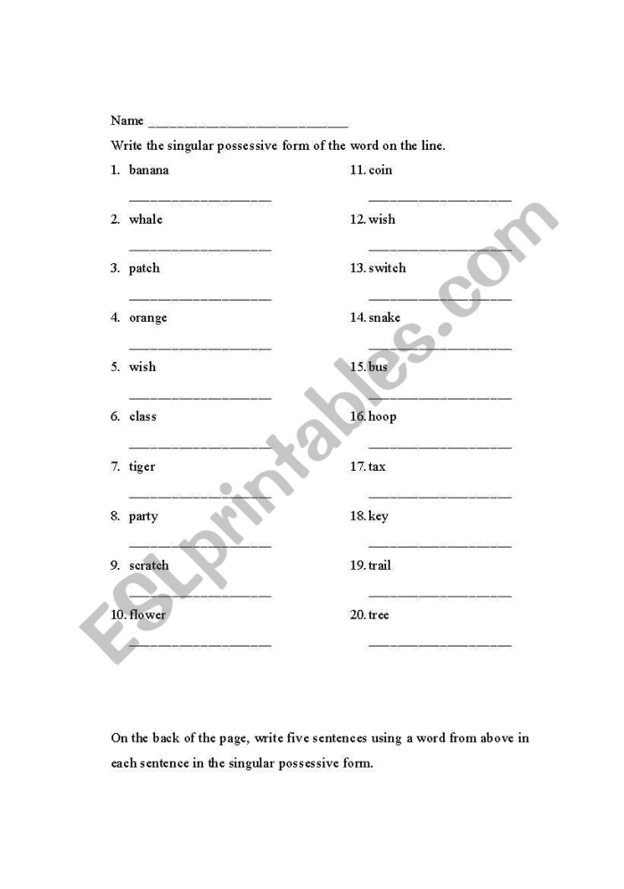 Second grade grammar worksheet showing singular possessive nouns with apostrophes and practice exercises for students