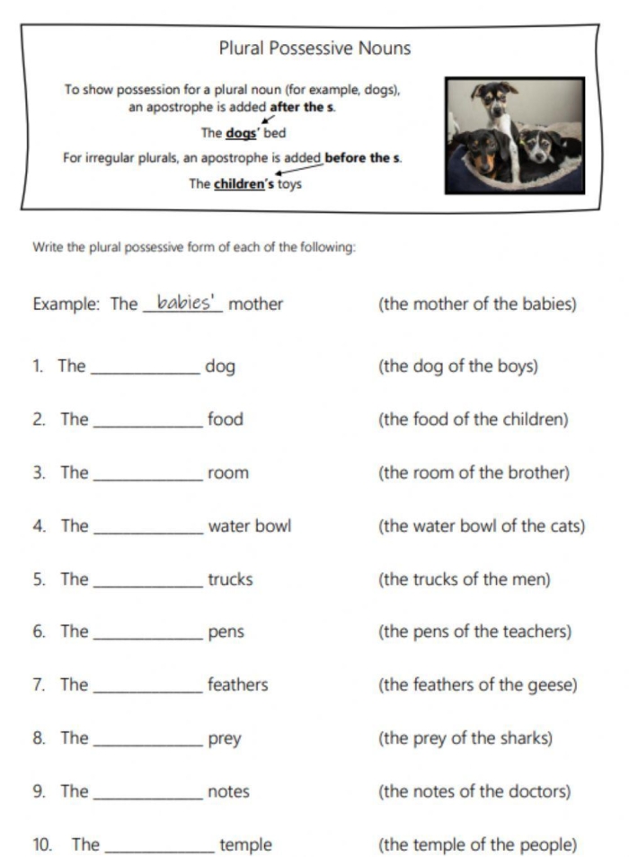 A second grade student worksheet showing exercises for forming singular possessive nouns with apostrophes and 's