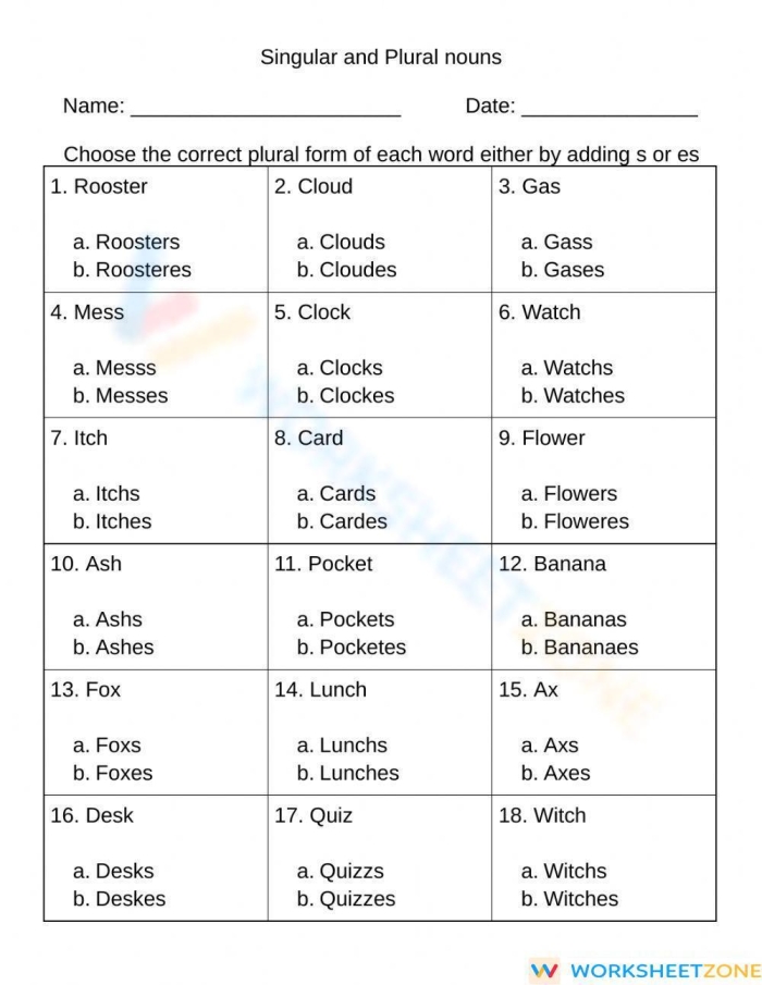 Second grade worksheet showing practice exercises for changing singular nouns to plurals by adding s or es endings