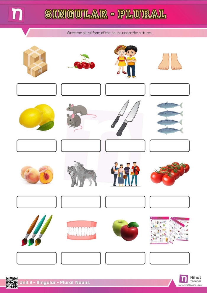 Singular to plural nouns practice sheet for kids, image 22 Worksheet for practicing the conversion of singular nouns to plural nouns for second graders