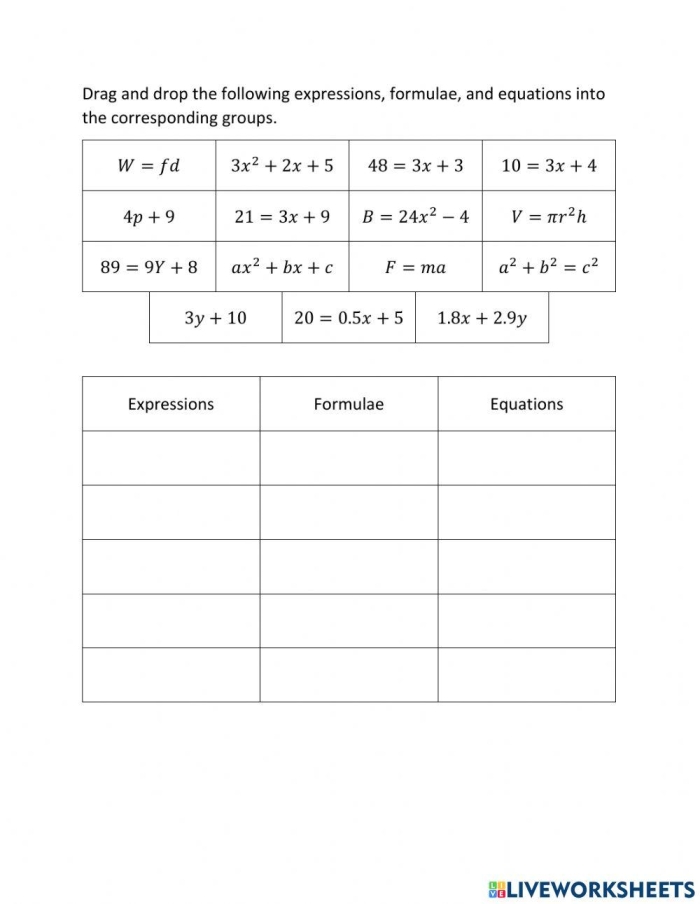 Expression and Equation Differentiation Practice for Grade 6 Algebra Sixth grade student solving expression versus equation problems on an algebra worksheet