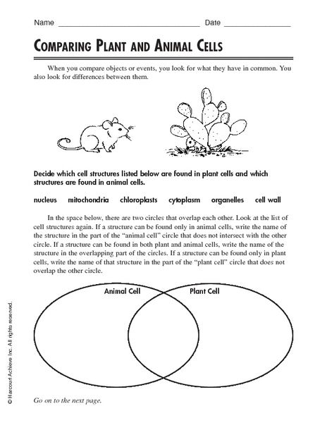 Animal Cells vs. Plant Cells Worksheet for Life Science Education Diagram comparing animal cells and plant cells for sixth-grade students