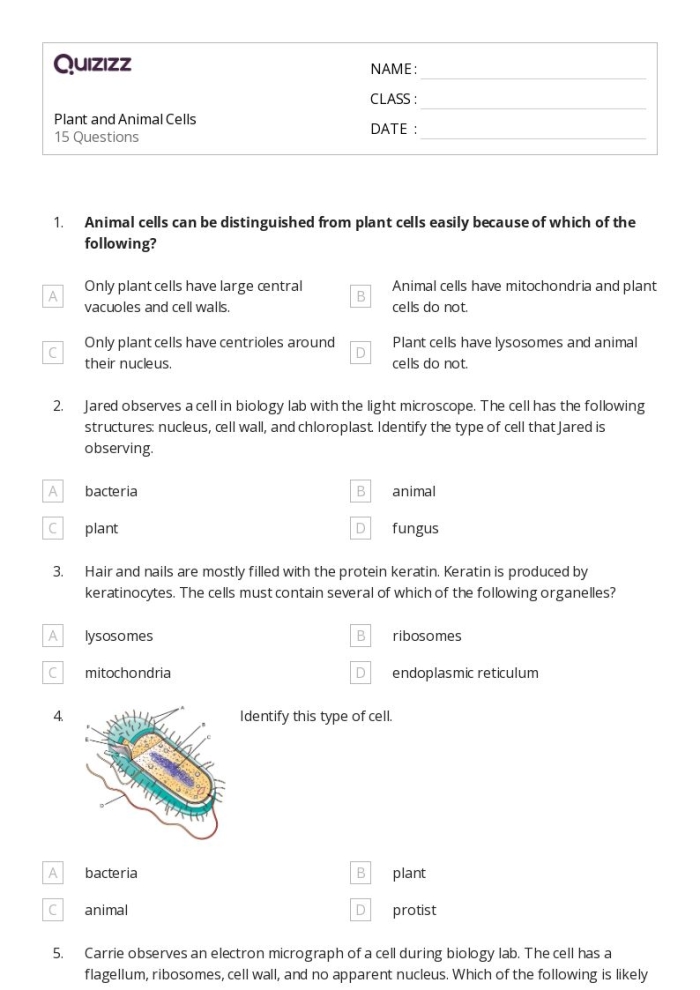 Comparing Animal and Plant Cells Worksheet for Grade 6 Science 25 Sixth grade science worksheet featuring a comparison chart for identifying parts of animal and plant cells