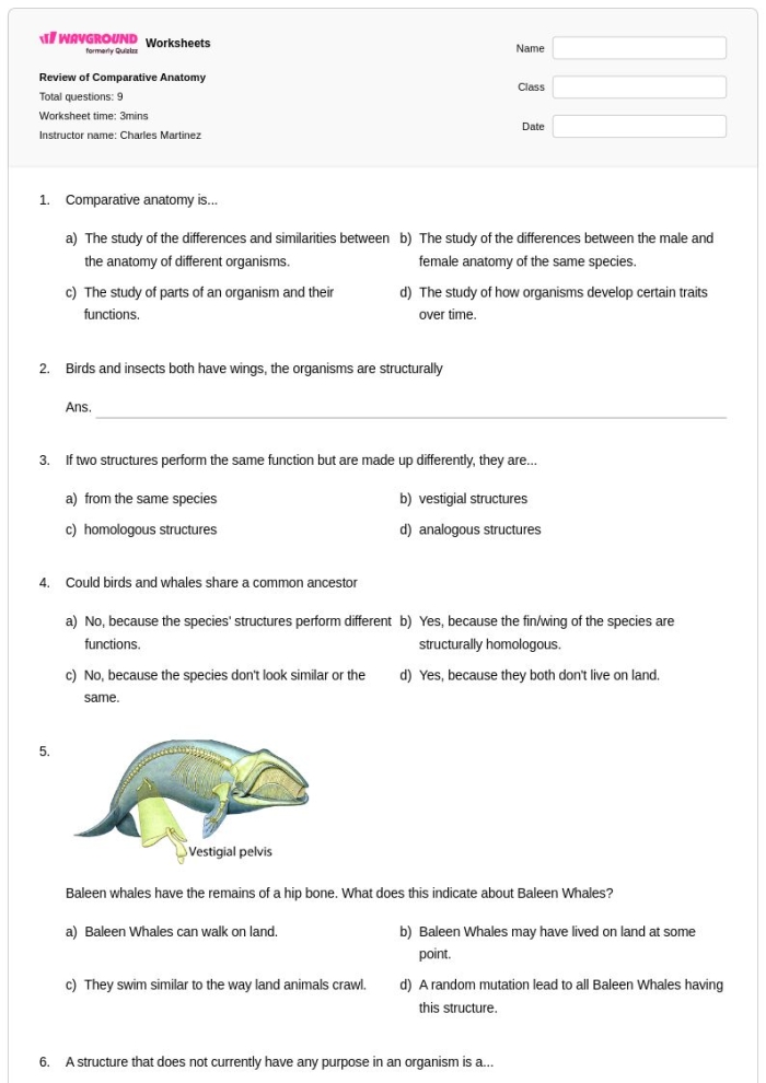 Diagram showing analogous and homologous structures found in different animal species for sixth grade life science comparison