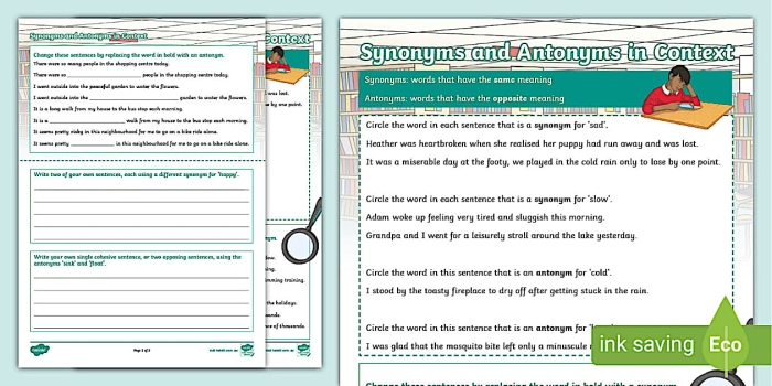 Determine the Meaning of Words Using Antonyms in Context worksheet image 11 Worksheet for identifying antonyms in context for sixth graders