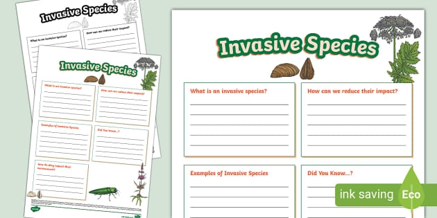 Graphic organizer illustrating the effects of invasive species on ecosystems