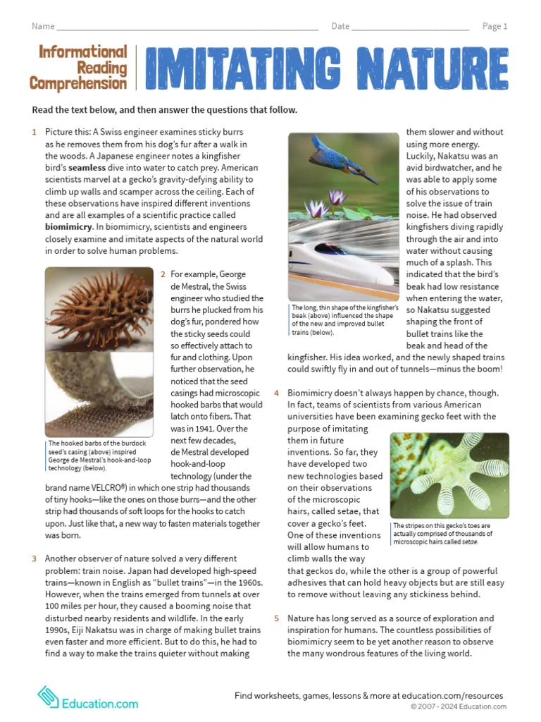 Sixth grade reading comprehension worksheet about biomimicry and nature inspired inventions