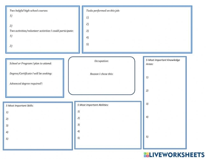Sixth grade student graphic organizer for researching a dream career worksheet