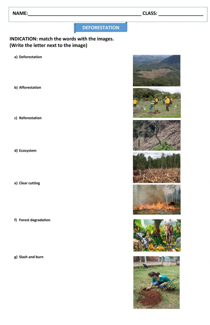 Case Study: Deforestation in Haiti educational worksheet for sixth graders A sixth-grade worksheet exploring the impact of deforestation in Haiti through real-world case studies