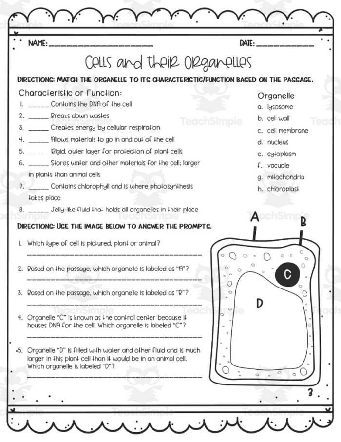 Diagram of a cell organelles worksheet designed for sixth-grade students to explore organelle functions.