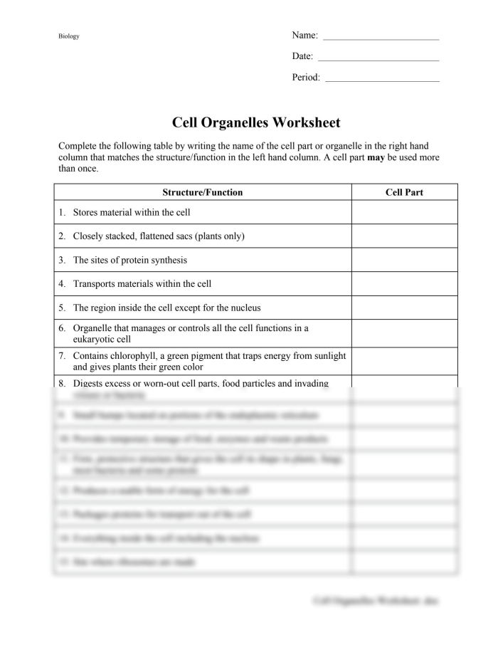 Sixth grade biology worksheet featuring a diagram of a cell with lines pointing to organelles for research