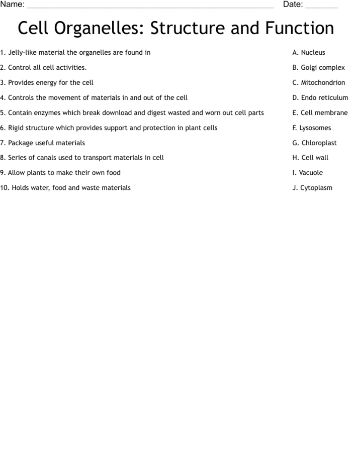 Sixth grade biology worksheet featuring a cell diagram with blank spaces for students to define organelle functions