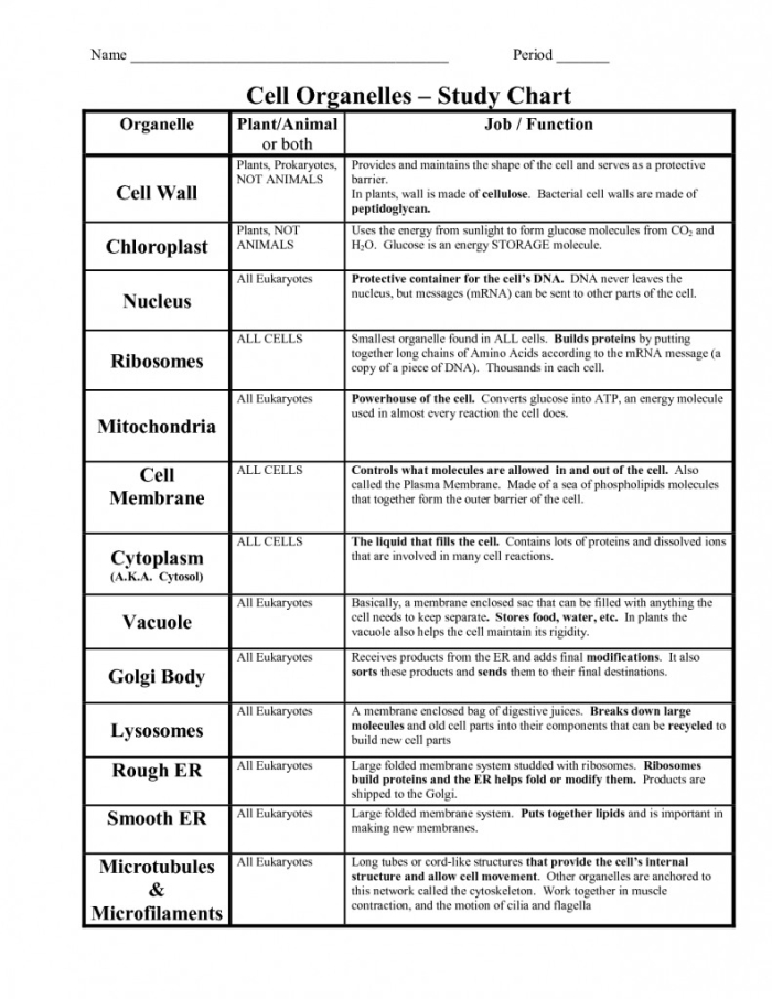 Sixth grade biology worksheet featuring a diagram of cell organelles for students to identify and describe