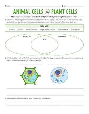 Animal vs Plant Cells Worksheet for Sixth Grade Science Number 2 Sixth grade students completing a comparison worksheet about animal and plant cell structures
