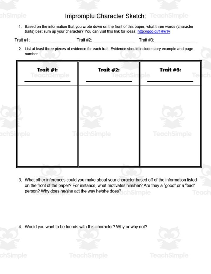 Sixth grade character analysis graphic organizer worksheet for literature studies