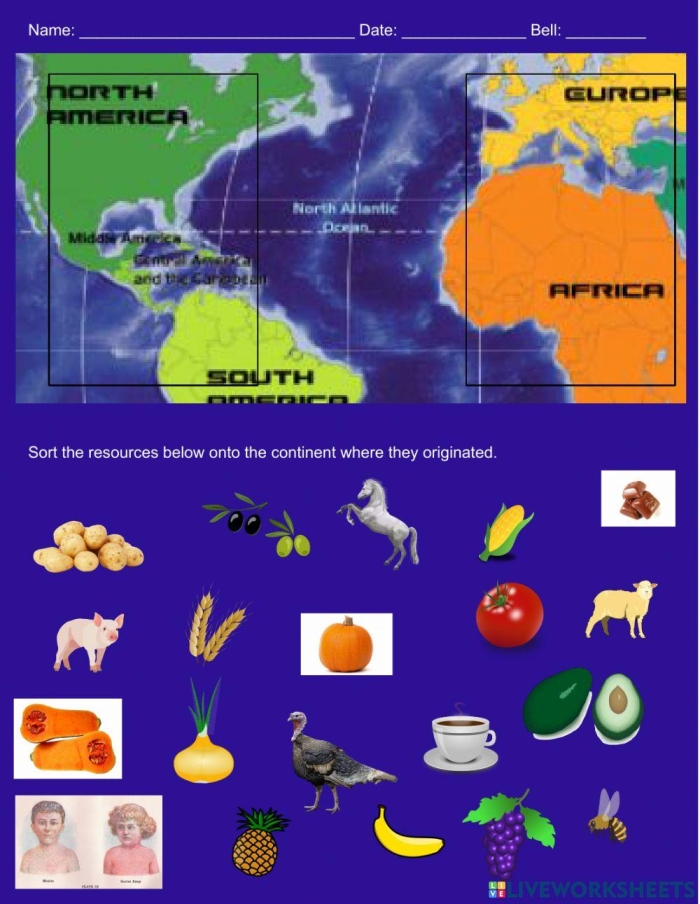 Columbian Exchange social studies worksheet for exploring historical impacts Detailed worksheet on the Columbian Exchange for sixth graders, featuring engaging activities