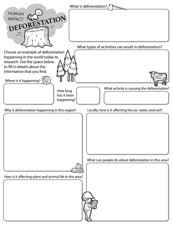 Worksheet for sixth graders exploring human impact through deforestation Graphic organizer illustrating the causes and effects of deforestation on ecosystems