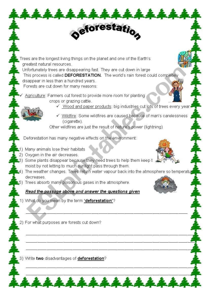 Worksheet for sixth graders on the human impact of deforestation Graphic organizer illustrating the concept of deforestation and its environmental consequences