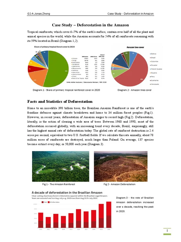 Educational resource for exploring deforestation impacts in Haiti Deforestation in Haiti case study worksheet for sixth-grade environmental science