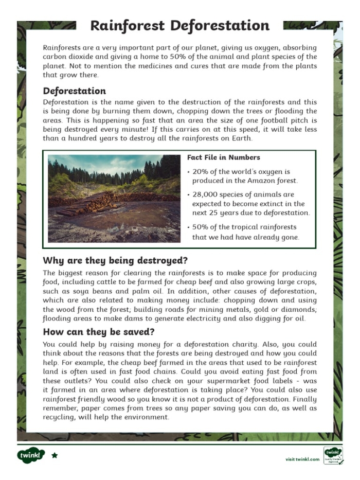 Human Impact on Ecosystems Deforestation Graphic Organizer 16 Sixth grade life science worksheet about the environmental consequences of deforestation
