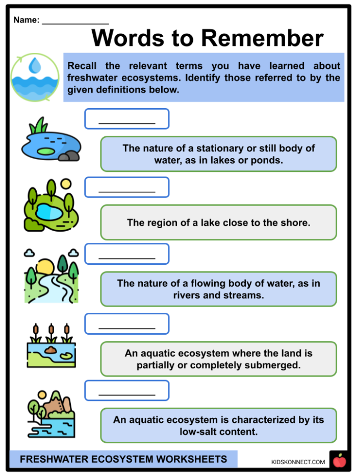Students engaged in a hands-on ecosystem research worksheet for sixth grade