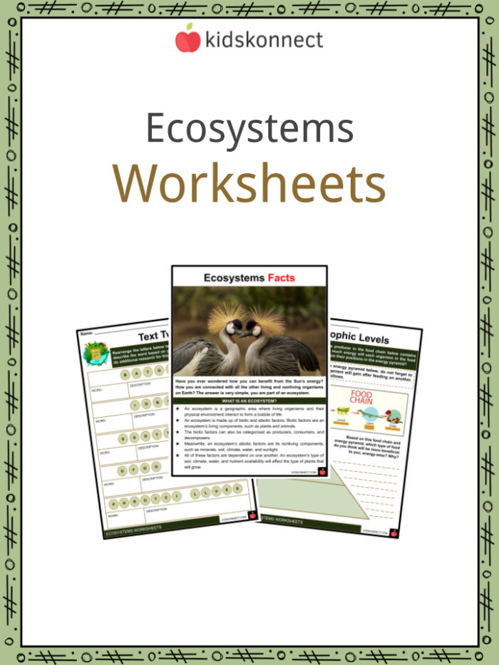Sixth grade life science worksheet about organism interactions in an ecosystem