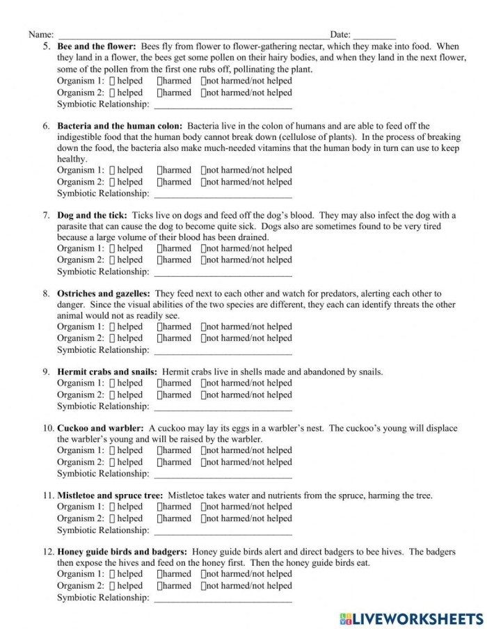 Sixth grade science worksheet focused on mapping organism interactions within a balanced ecosystem