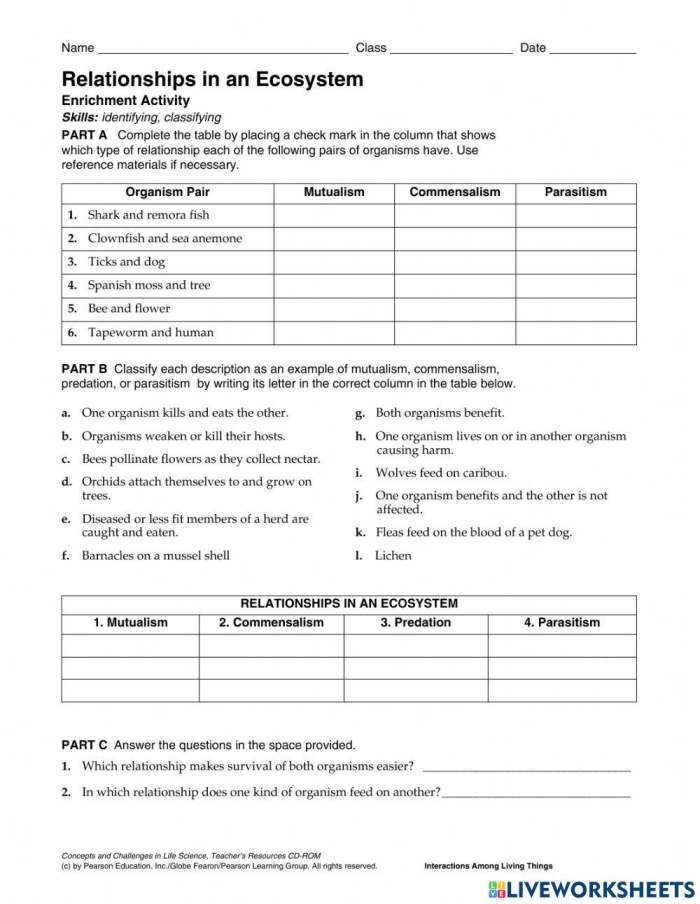 Sixth grade life science worksheet featuring various examples of organism interactions within ecosystems