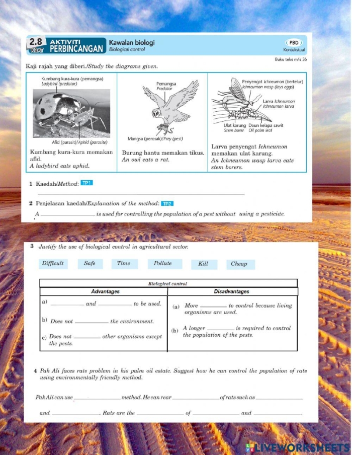 Worksheet illustrating organism interactions in ecosystems for sixth graders