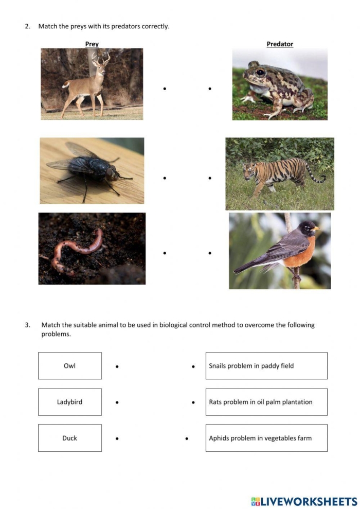 ALT text: Educational worksheet on organism interactions within ecosystems for sixth graders