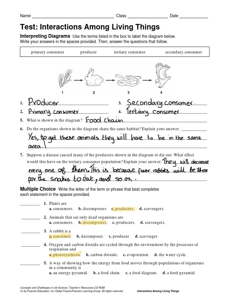 ALT text for worksheet on organism interactions in ecosystems designed for sixth graders