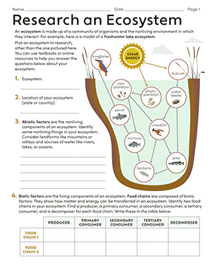 Sixth grade students researching an ecosystem to build a detailed model for science class