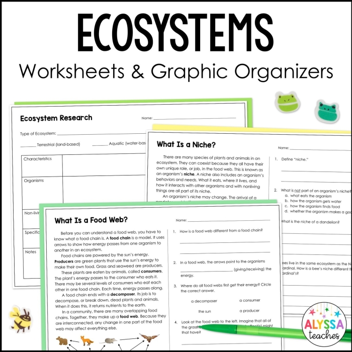 Students working on a Research an Ecosystem worksheet to model different ecosystems