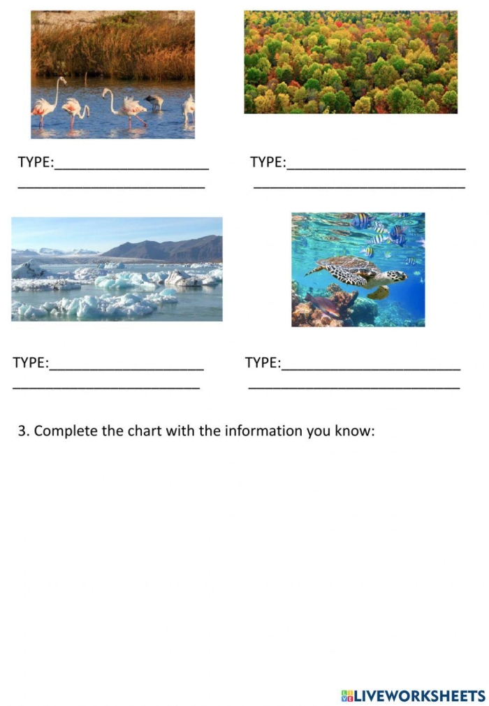 Sixth grade students researching diverse ecosystems and building scientific models for their class worksheet