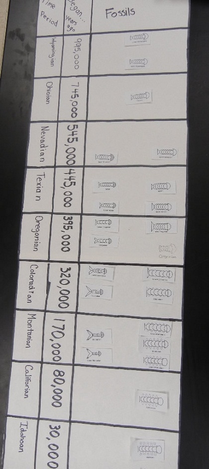 Image title showcasing an engaging worksheet on fossils and evolution for middle school students ALT text for a sixth-grade science worksheet about the fossil record and evolution