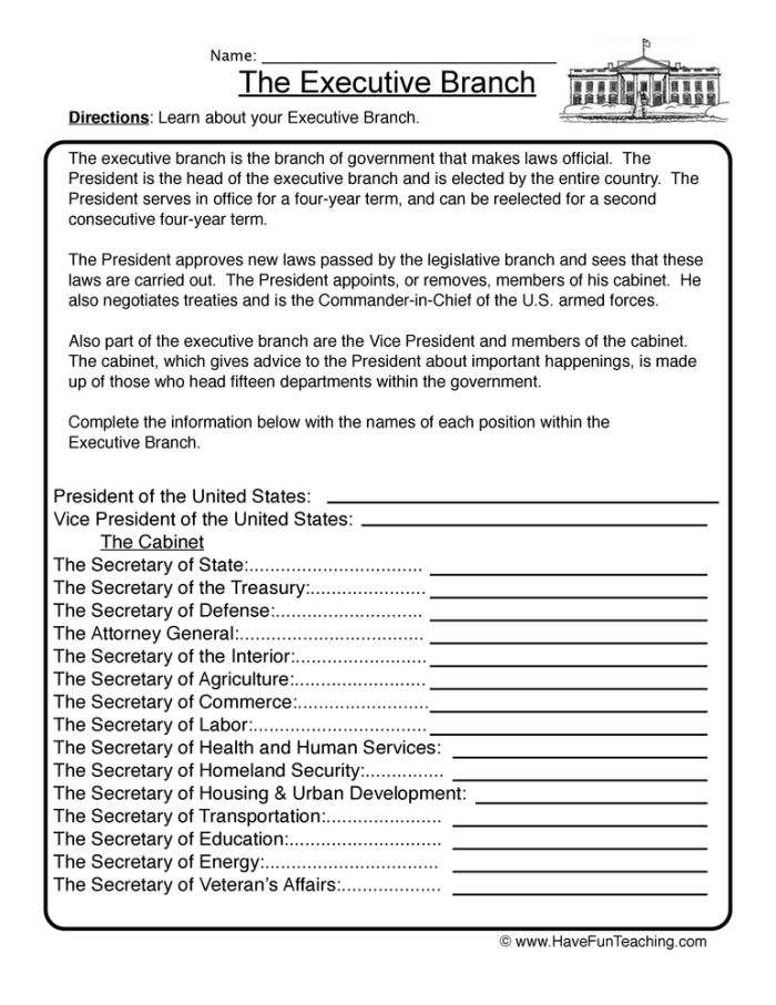 Graphic organizer for understanding the executive branch of the federal government Executive Branch worksheet for sixth graders exploring government roles