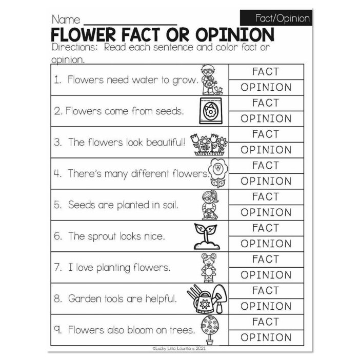 Worksheet for sixth graders on distinguishing between facts and opinions in history