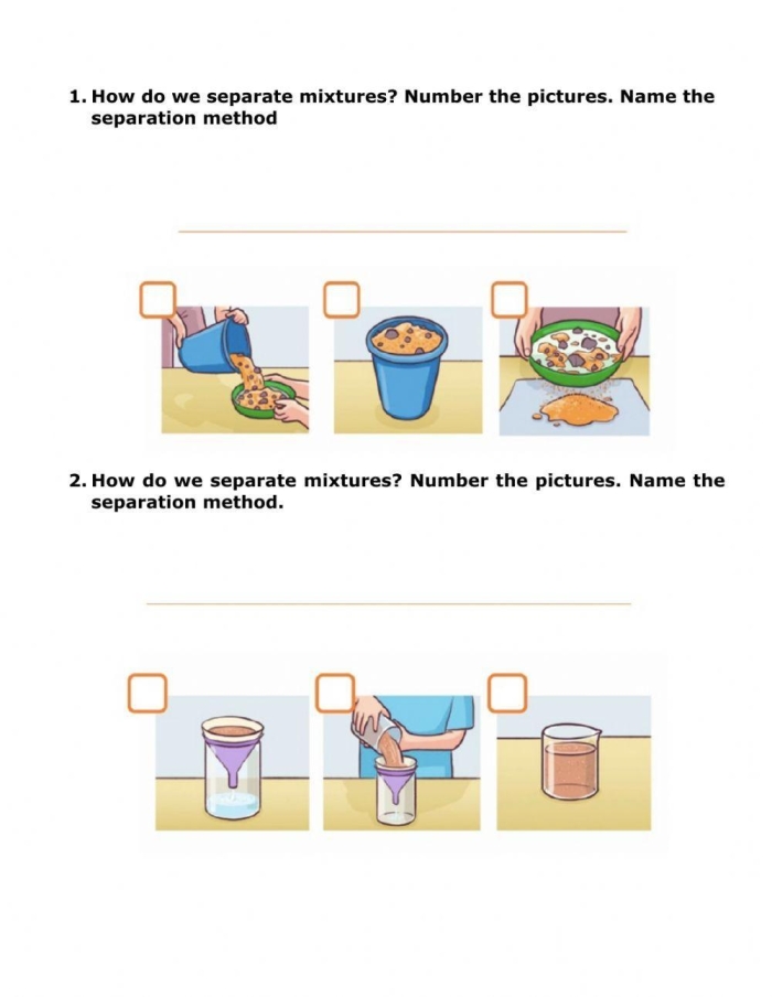 Sixth grade science students analyzing a food web diagram to track energy flow and matter cycling
