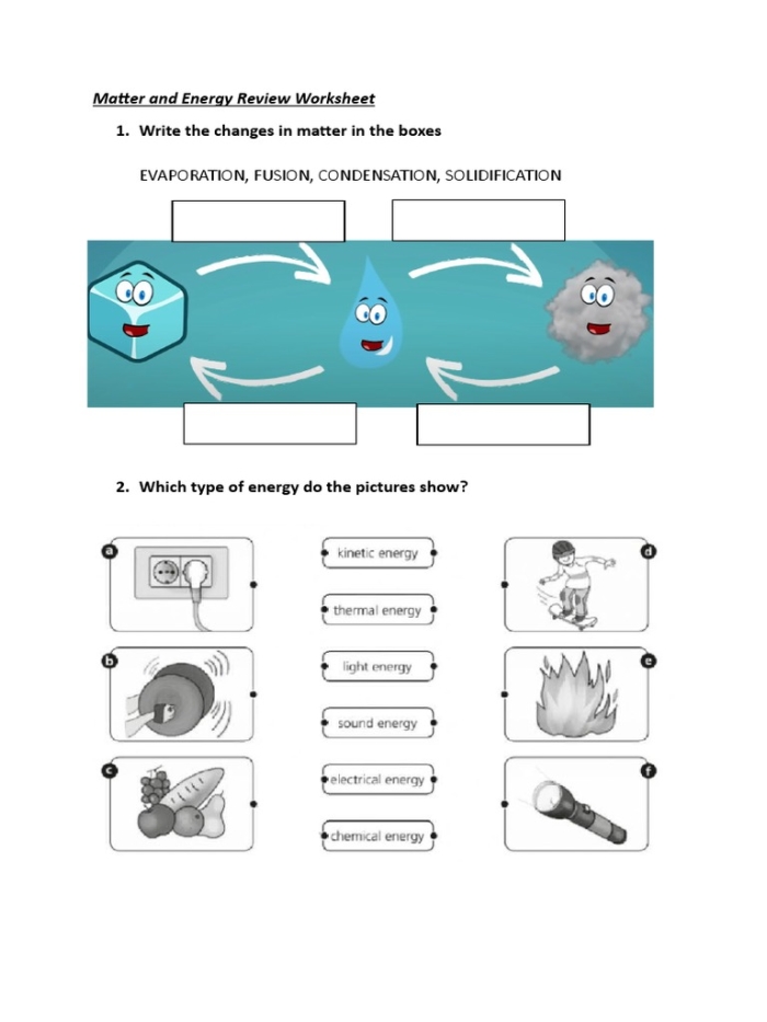 Sixth grade students analyzing a food web diagram to trace energy flow and nutrient cycling in an ecosystem