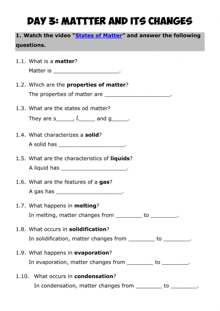Illustration of a food web highlighting organism roles in an ecosystem for a sixth-grade worksheet