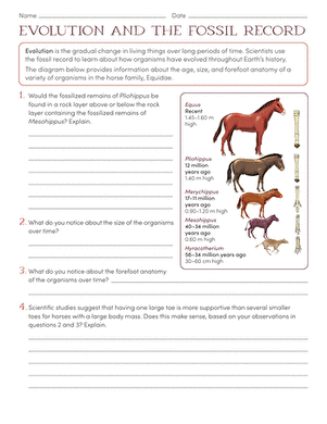 Evolution and the Fossil Record worksheet for sixth graders Illustration of a student analyzing fossils to understand evolution in a science worksheet