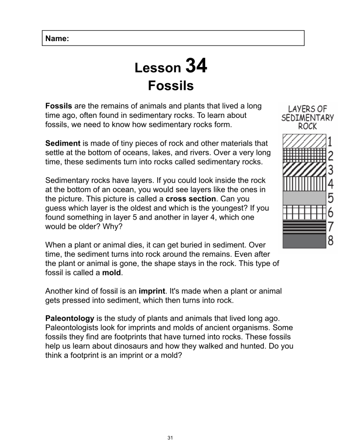 Worksheet featuring students analyzing fossil records in a life science class