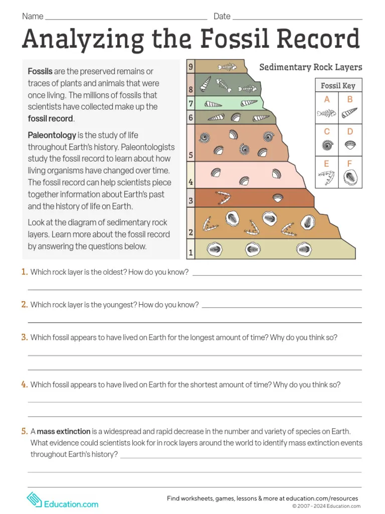 Sixth grade students examining fossil layers and scientific data in an engaging life science worksheet