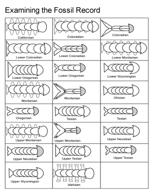 Students engaging with the Analyzing the Fossil Record worksheet in a classroom setting