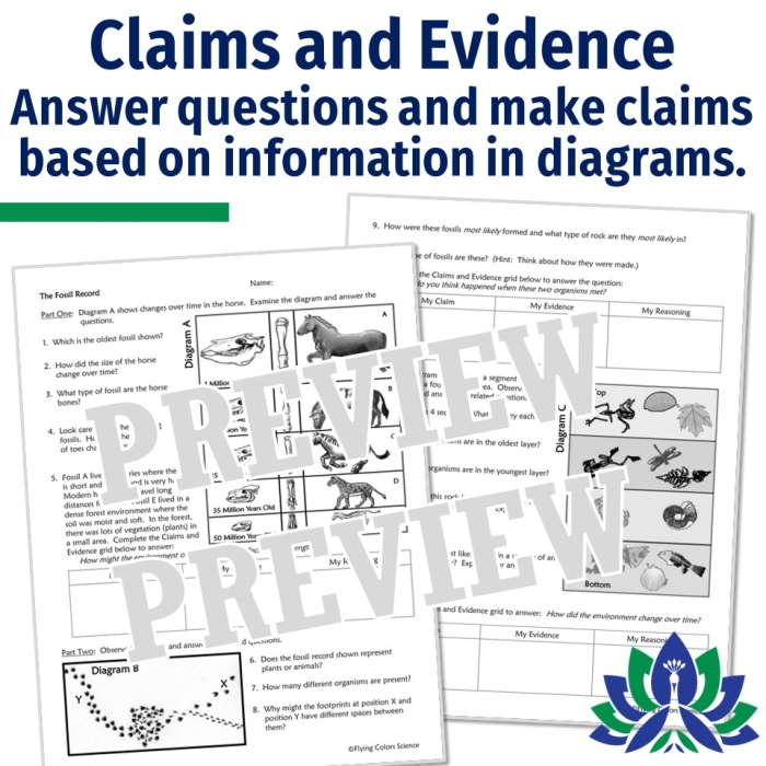 Worksheet featuring sixth graders analyzing fossils in a life science activity