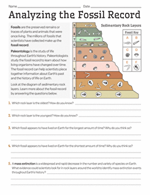 Evolution and the Fossil Record worksheet for sixth grade science lesson three Sixth grade science worksheet focused on understanding the fossil record and organism evolution