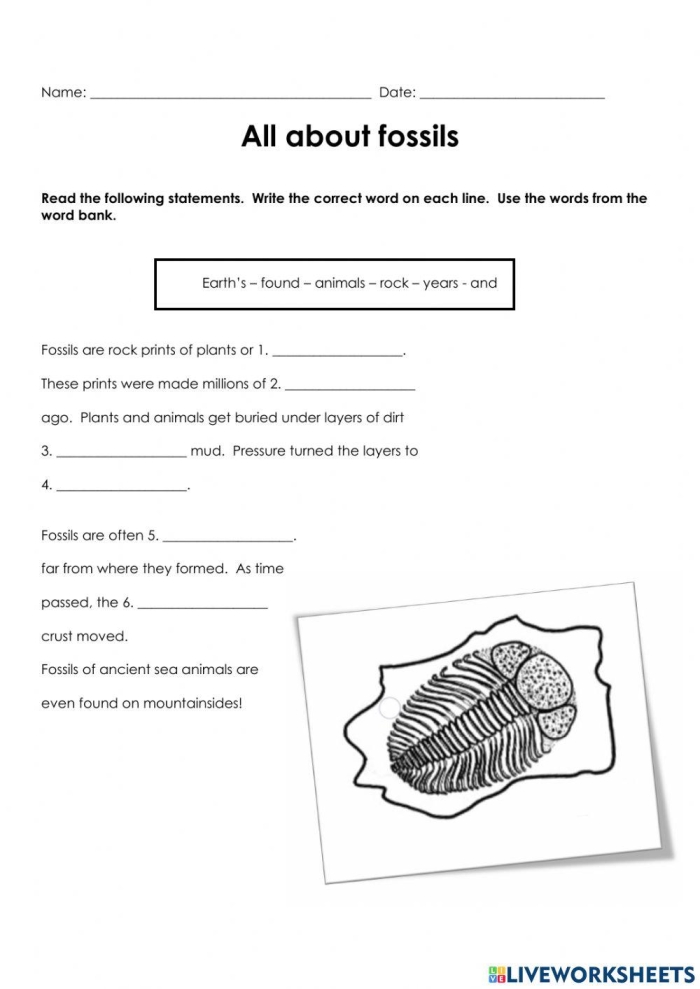 Engaging science worksheet for middle school students about fossils and evolution Illustration of a sixth-grade worksheet focused on evolution and the fossil record