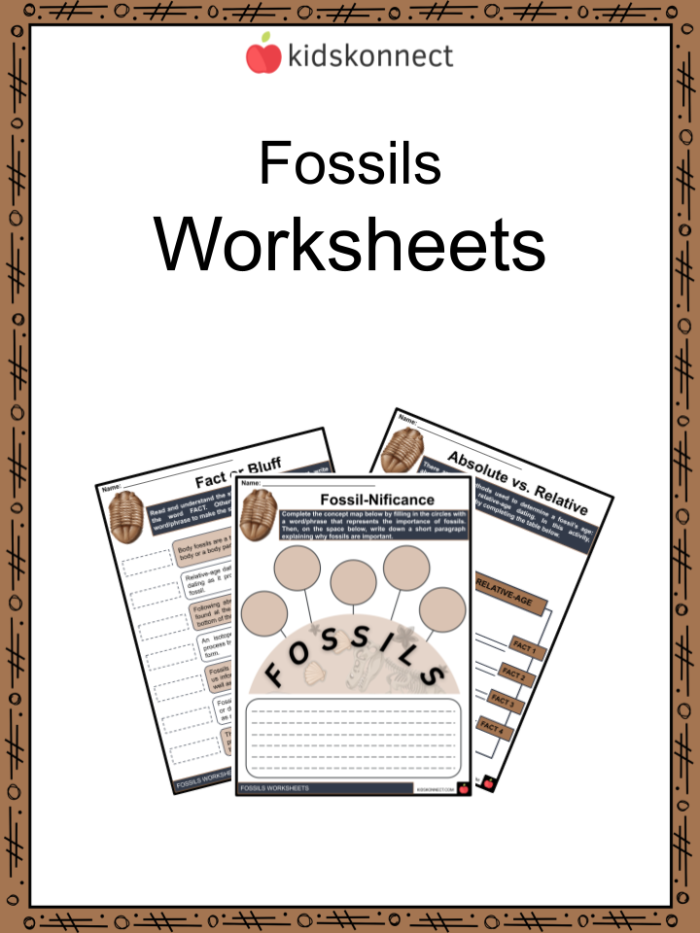 Evolution and the Fossil Record Educational Worksheet 13 Sixth grade science worksheet focused on understanding the fossil record and organism evolution